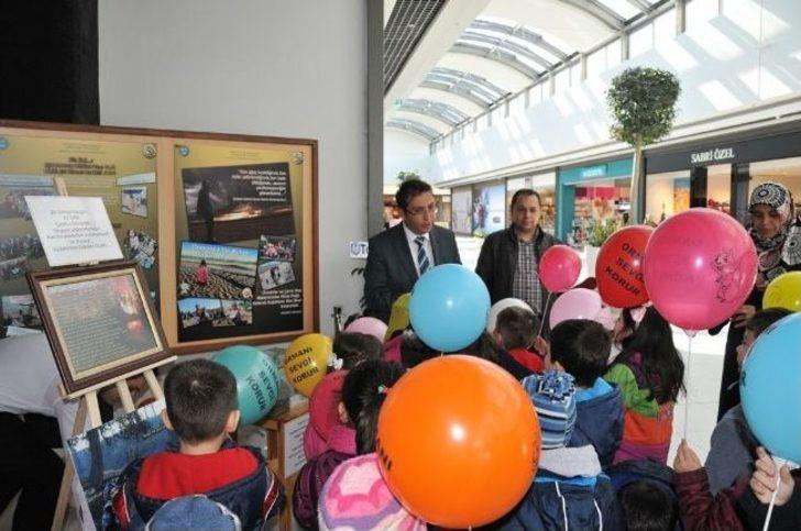 Kütahya'da 'orman Hayattır' Konulu Fotoğraf Sergisi G2