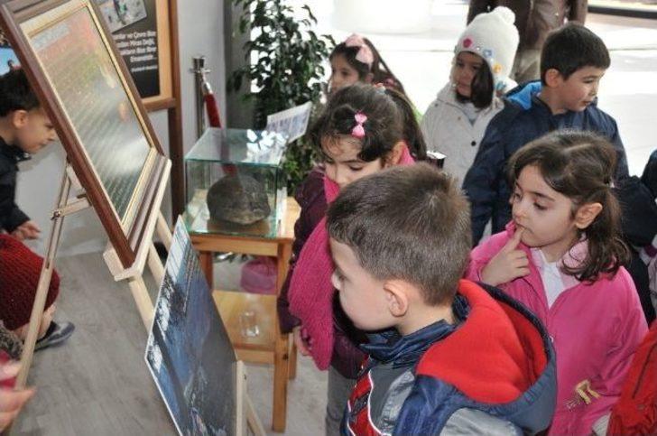 Kütahya'da 'orman Hayattır' Konulu Fotoğraf Sergisi G4