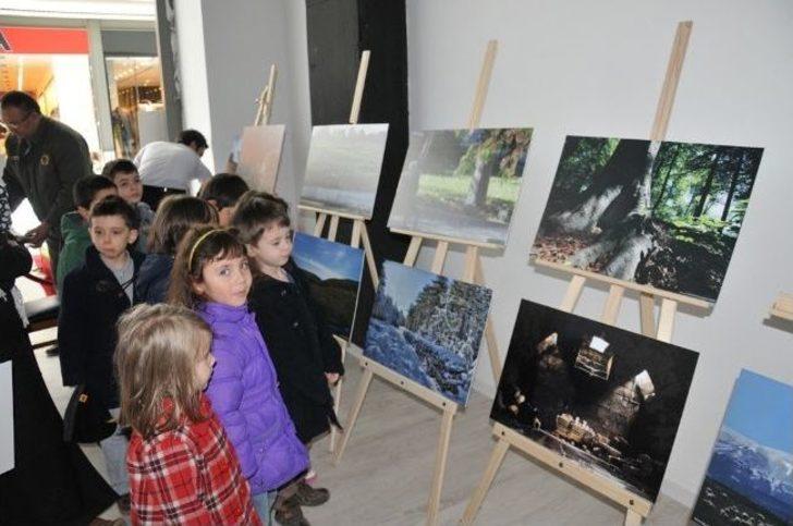 Kütahya'da 'orman Hayattır' Konulu Fotoğraf Sergisi G5