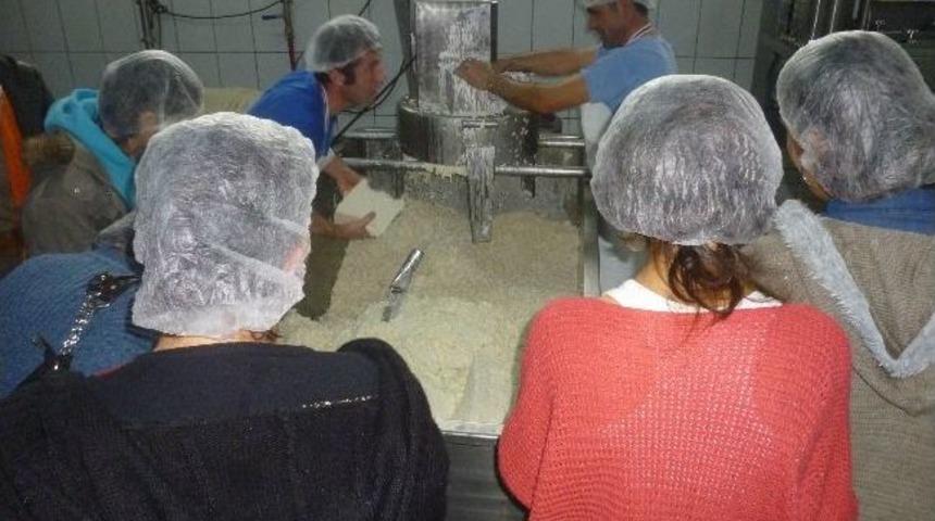 K&ouml;yceğizli Kadın &Ccedil;ift&ccedil;iler, Teknik Gezilerle Kendilerini Geliştiriyor