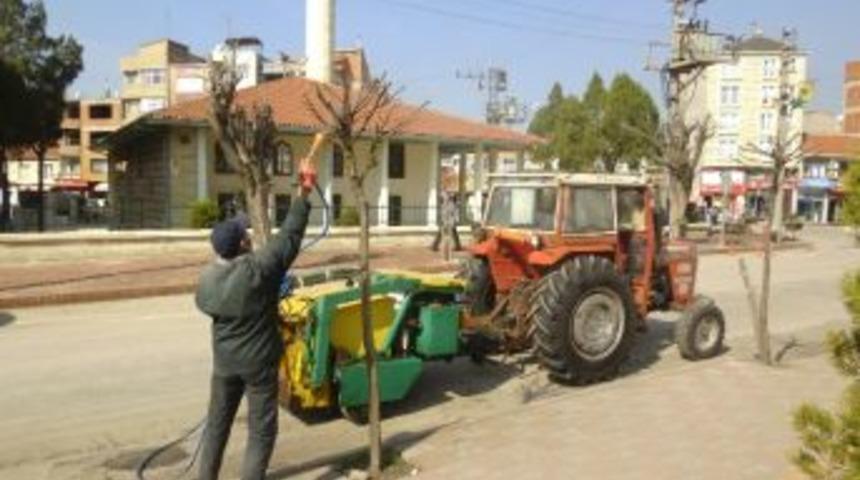 Fidanlarzararlı B&ouml;ceklere Karşı İla&ccedil;lanıyor