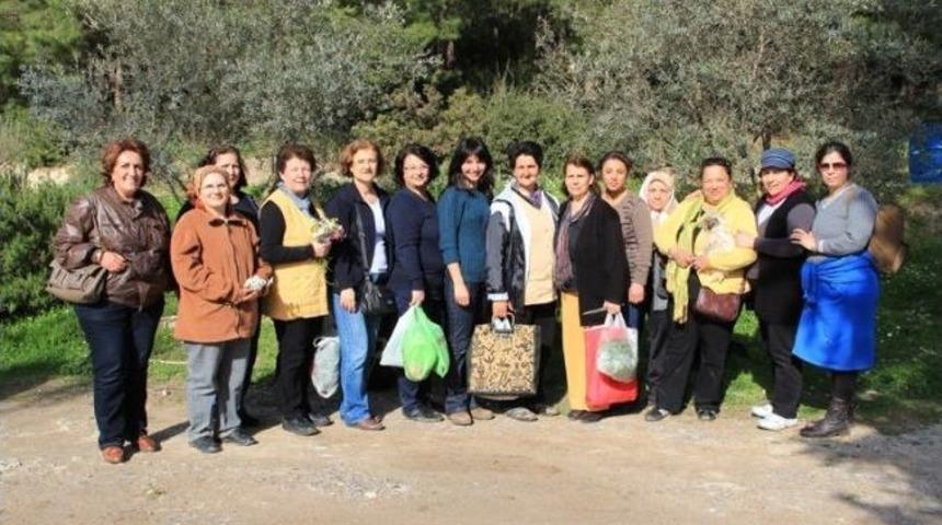 Sel&ccedil;uklu Kadınlar Ot Toplama Gezisine &Ccedil;ıktı