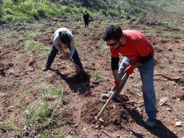 Akut İzmir Ormanı Filiz Verdi