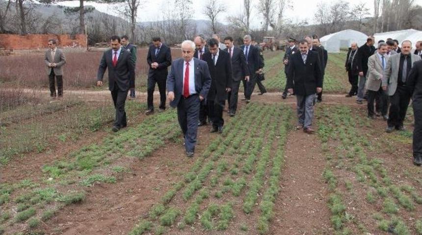 Şebinkarahisar B&ouml;lgenin 'fidan &Uuml;ss&uuml;' Olacak