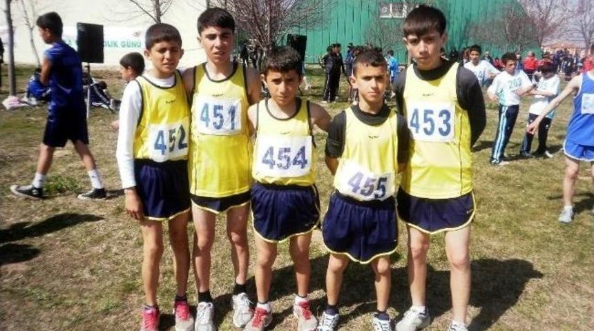 Krosta Taytan Farkı