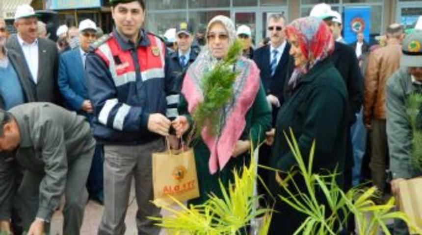 Karasu&rsquo;da 2 Bin Fidan Dağıtıldı