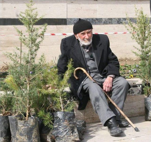 Yozgat’ta Vatandaşlar Ücretsiz Fidan Alabilmek İçin Birbiriyle Yarıştı