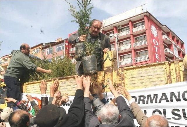 Yozgat’ta Vatandaşlar Ücretsiz Fidan Alabilmek İçin Birbiriyle Yarıştı