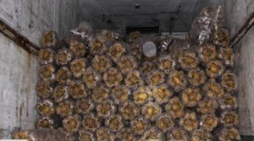 25 Bin Paket Ka&ccedil;ak Sigara Ele Ge&ccedil;irildi