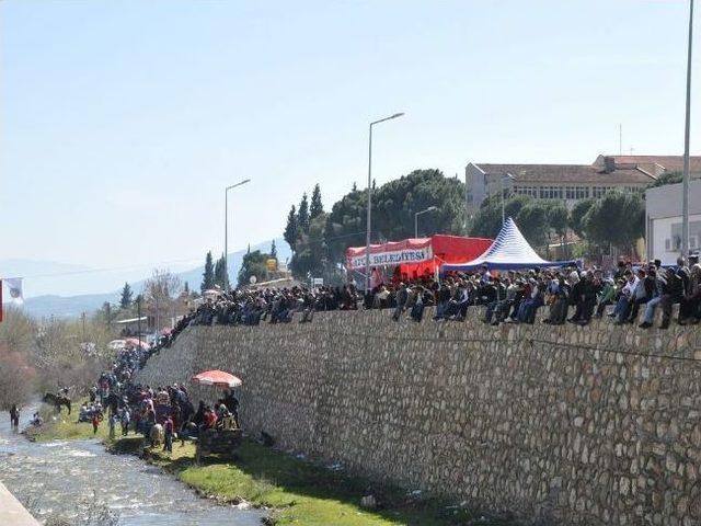 140 At Birincilik İçin Yarıştı