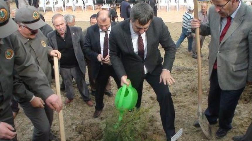 Emekliler Hatıra Ormanı A&ccedil;ılışı Yapıldı