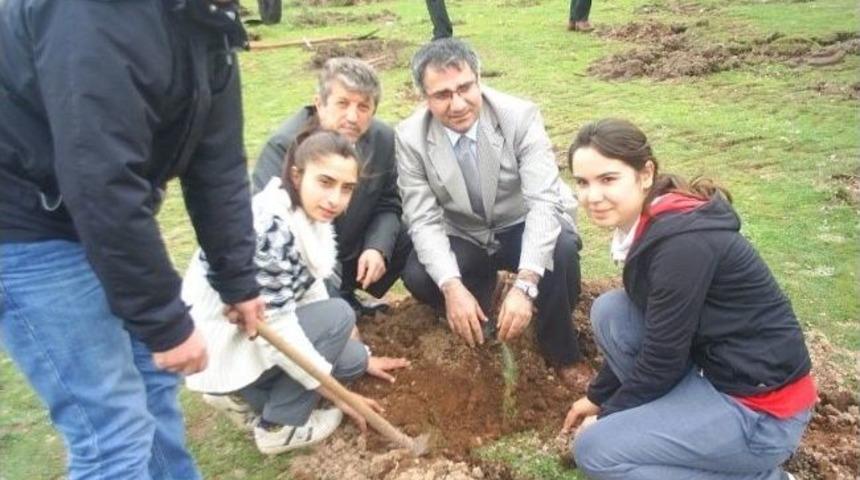 G&ouml;me&ccedil;&rsquo;te Ağa&ccedil; Bayramı