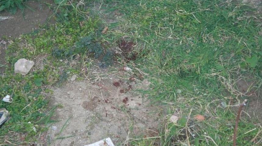 Zihinsel Engelli Gen&ccedil; 5. Kattan D&uuml;şt&uuml;