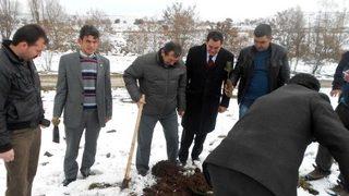 Çankırı’da Yazıcıoğlu Anısına Hatıra Ormanı Oluşturuldu