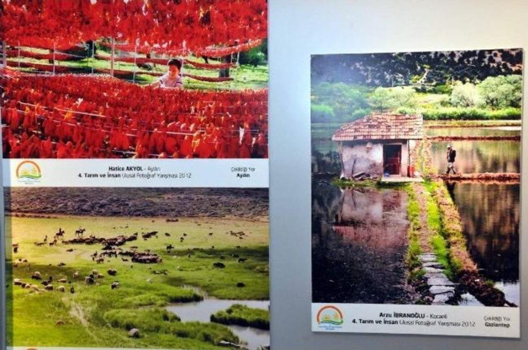 "tarım Ve İnsan" Konulu Fotoğraf Sergisi