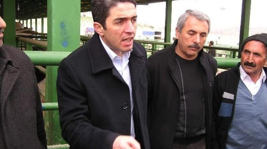 Chp Heyeti Hayvan Pazarı&rsquo;nı Ziyaret Etti