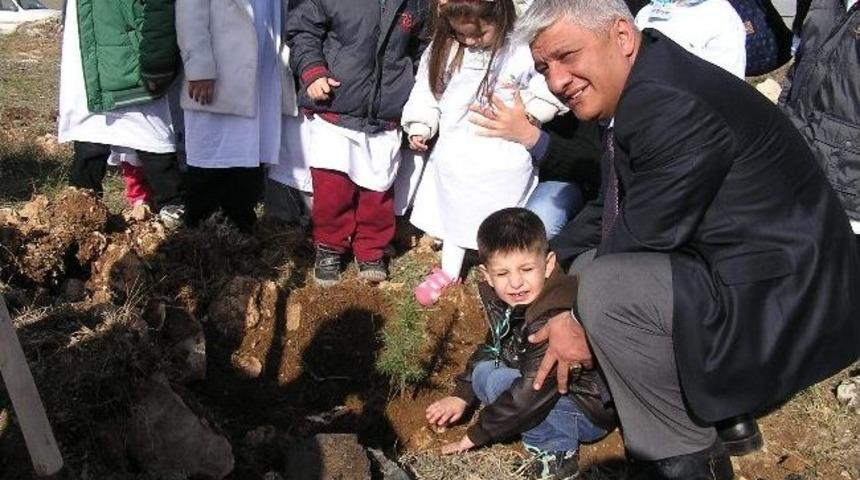 Minikler Fidan Dikti