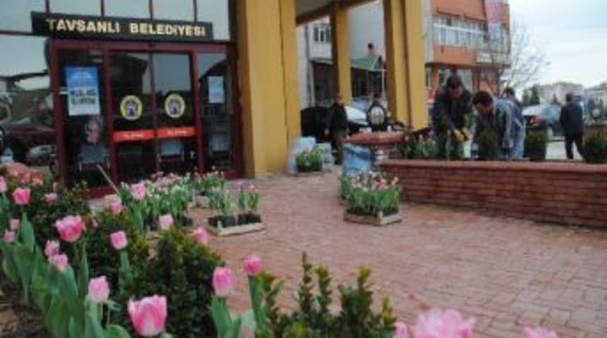 Mevsimine Uygun &Ccedil;i&ccedil;ek Dikimi