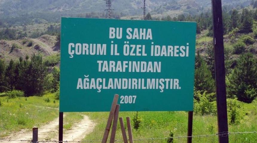 &Ccedil;orum İl &Ouml;zel İdaresi, 177 Bin Fidanı Toprakla Buluşturdu