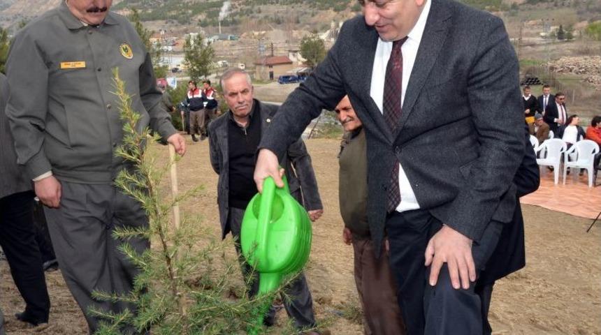 Emekliler Derneği Hatıra Ormanı A&ccedil;ıldı
