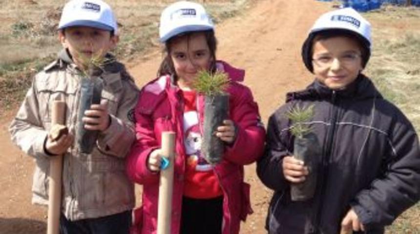 KOMFED, 1000 Fidan Dikti