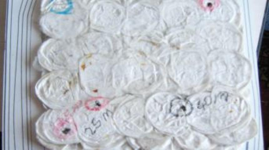 İpek Kozasından Zırh Yaptı