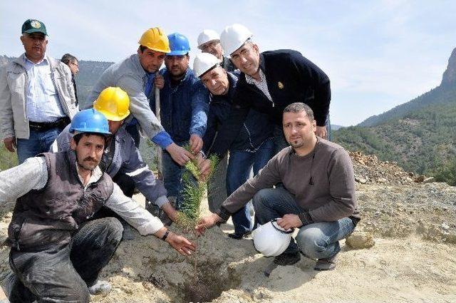 Eski Maden Ocağı Yeniden Yeşerecek