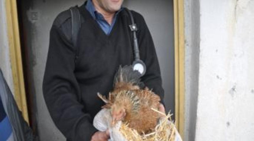 Yangın &Ccedil;ıkan Evde Kulu&ccedil;kaya Yatan Tavuğu Itfaiye Kurtardı