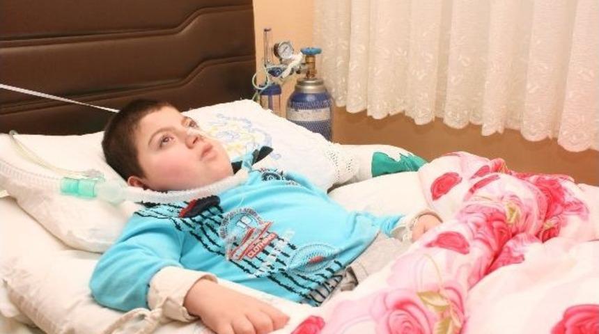 İnce Ailesinin Dramı