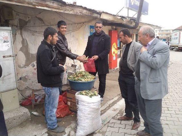 ‘gülbahar’ Bitkisi Tezgahlarda Yerini Aldı