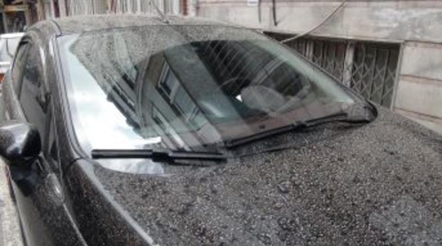 Ara&ccedil;ların &Uuml;zerine &Ccedil;amur Yağdı