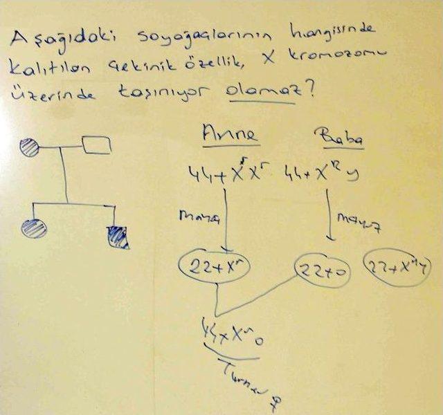 Ygs&rsquo;nin Biyoloji Sorusuna İtiraz 1