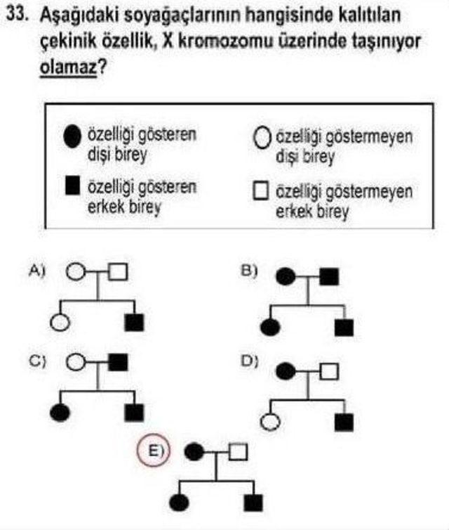 Ygs&rsquo;nin Biyoloji Sorusuna İtiraz 2