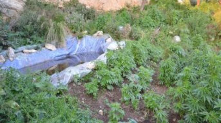 Mersin'de Uyuşturucu Operasyonu