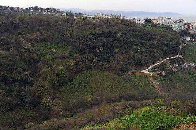 Trabzon a Doğal Botanik Parkı 1