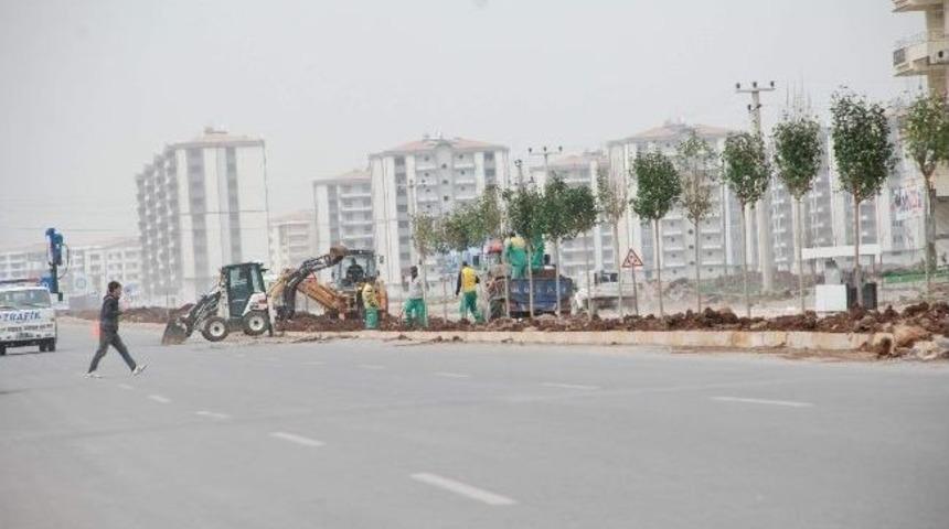 Diyarbakır B&uuml;y&uuml;kşehir Belediyesi Orta Ref&uuml;jleri Yeşillendirmeye Devam Ediyor