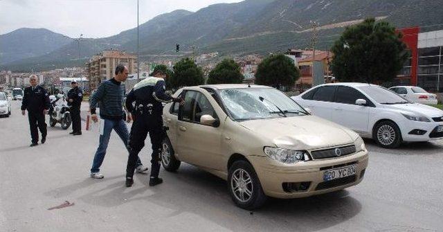 Yaşlı &Ccedil;ifti &Ouml;l&uuml;m Ayırdı 2