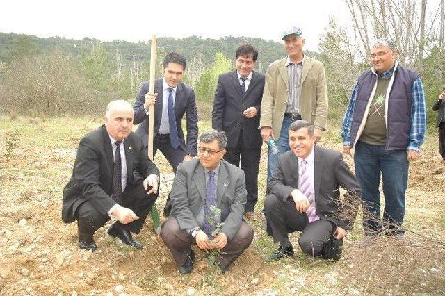 Manavgat Baraj Havzasında 400 Fidan Toprakla Buluştu