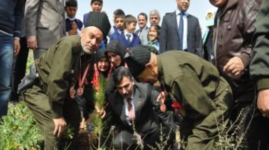 Kuva-i Milliye M&uuml;cahitler Derneği I&ccedil;in Hatıra Ormanı