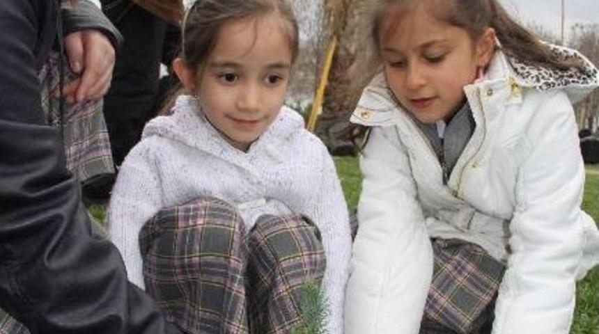 &Ouml;ğrenciler, Yeşil Bursa'nın Yeşiline Katkı İ&ccedil;in Fidan Dikti