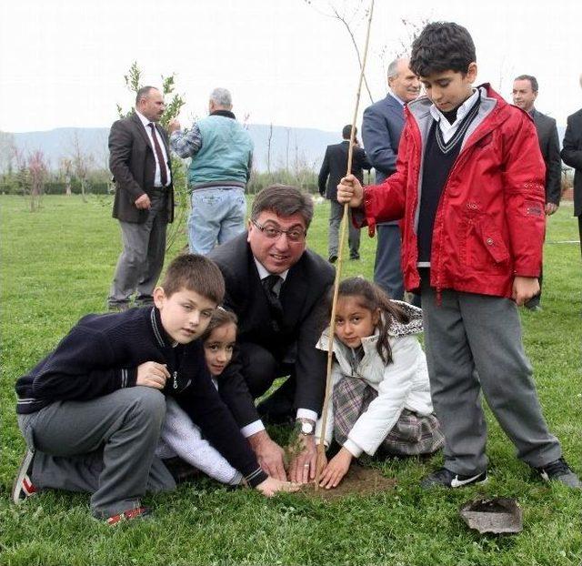 Öğrenciler, Yeşil Bursa'nın Yeşiline Katkı İçin Fidan Dikti