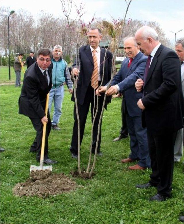 Öğrenciler, Yeşil Bursa'nın Yeşiline Katkı İçin Fidan Dikti