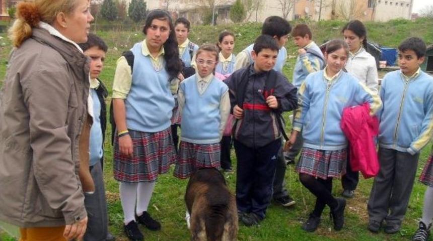 Miniklerden B&uuml;y&uuml;k Ders