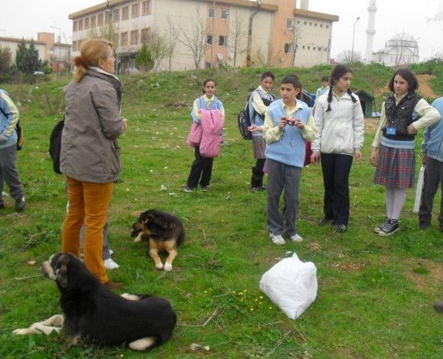 Miniklerden Büyük Ders 1