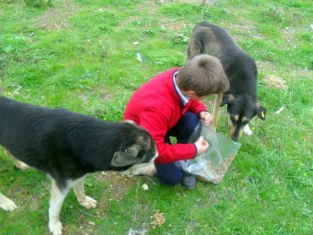 Miniklerden Büyük Ders 2