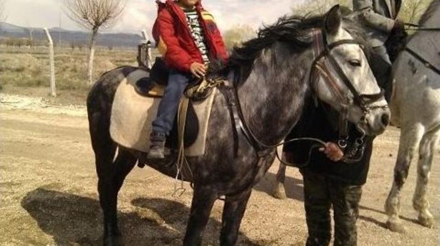 Sindelh&ouml;y&uuml;k Atlı Spor Kul&uuml;b&uuml;&rsquo;nden Binicilik Kursu