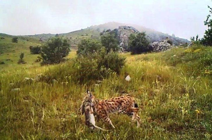 Burası Afrika değil Giresun!  G1