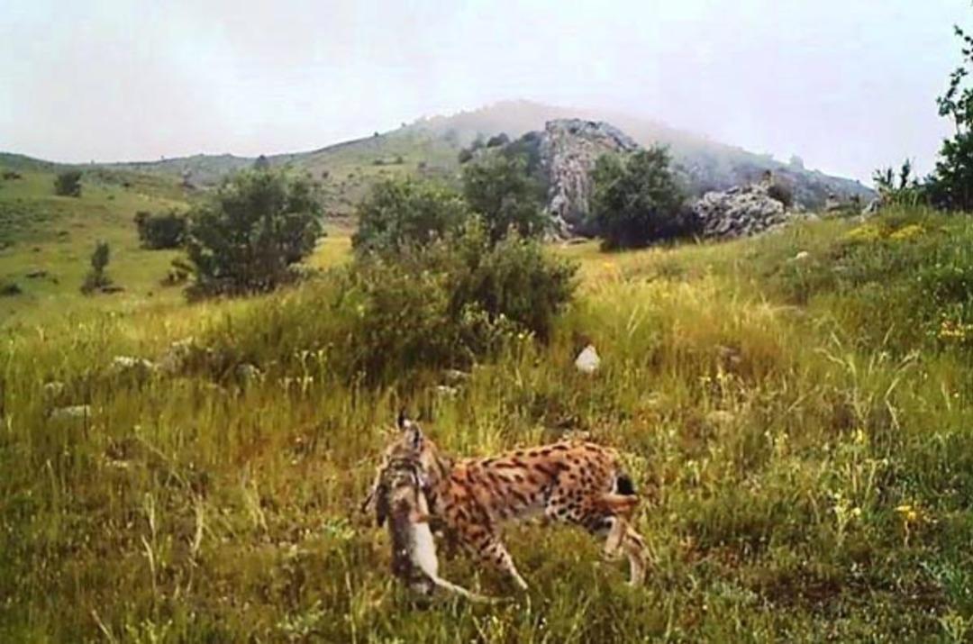 Burası Afrika değil Giresun! 