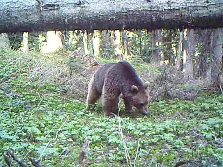Burası Afrika değil Giresun!  G5