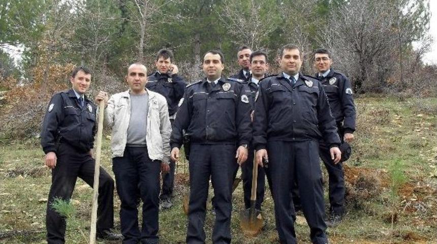 &Ccedil;elikhan Emniyeti Fidan Dikti